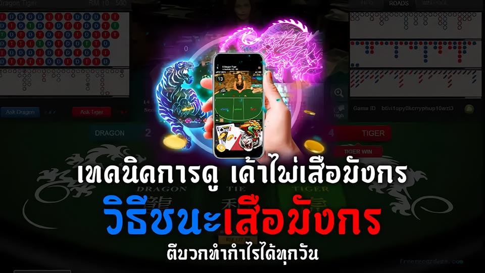 สูตรเสือมังกร