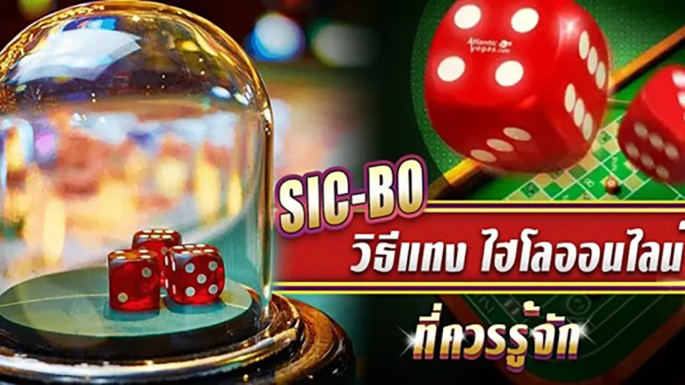 โบนัสรายวันไฮโล